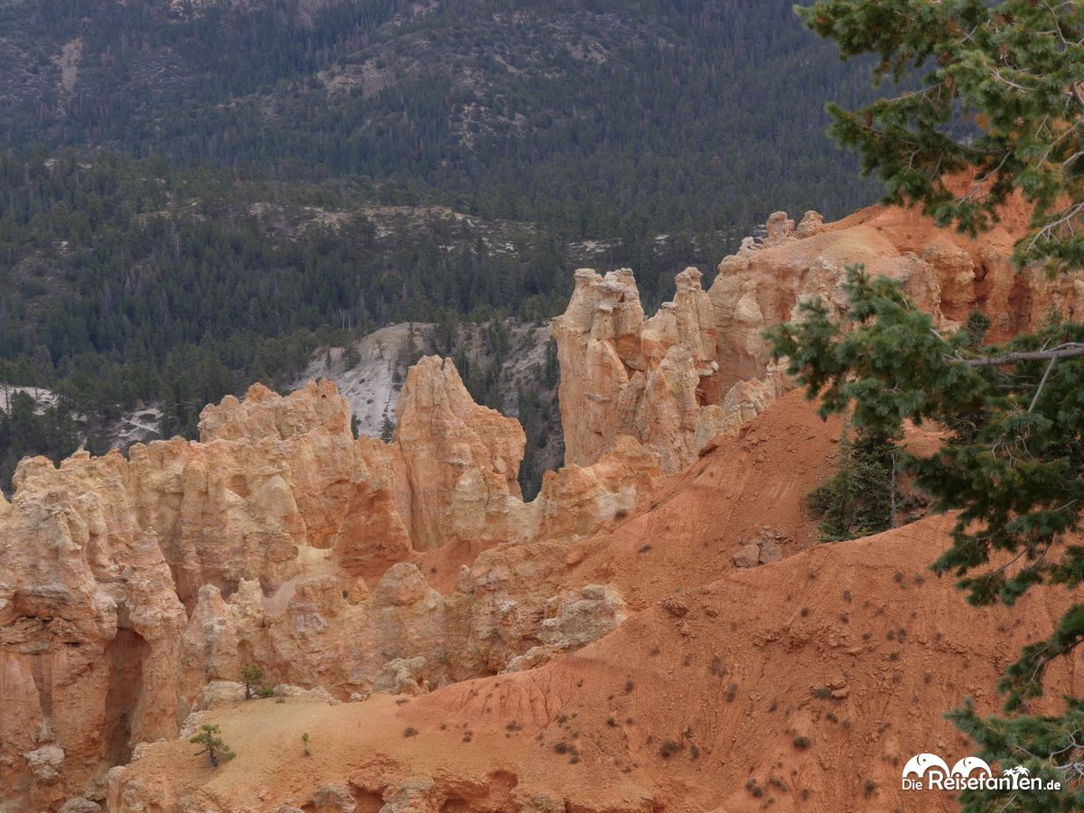 Die Viewpoints im Bryce Canyon 15