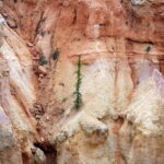 Die Viewpoints im Bryce Canyon 21