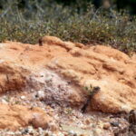 Die Viewpoints im Bryce Canyon 22