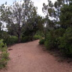 Ein Halt im Kolob Canyons Nationalpark 05