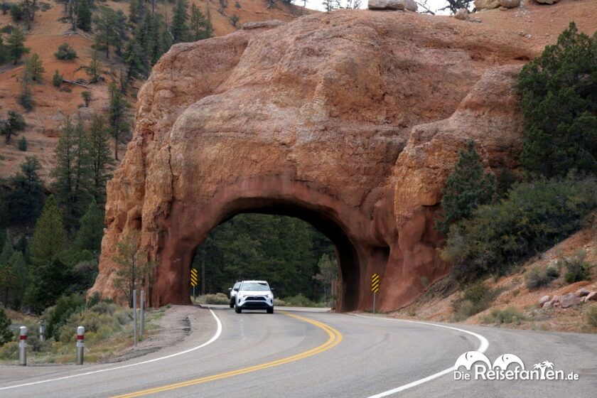 Ein kurzer Besuch am Red Canyon 01
