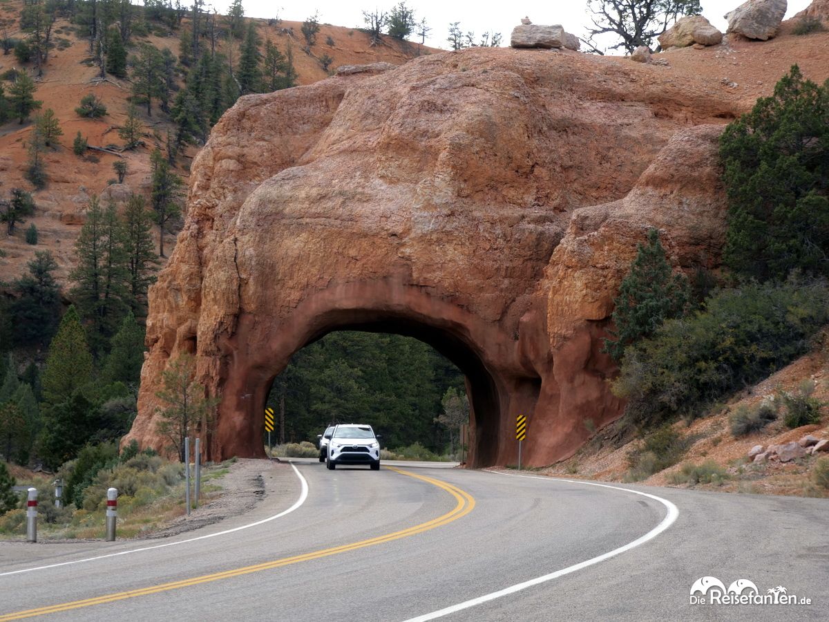 Ein kurzer Besuch am Red Canyon 01