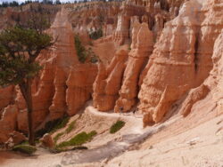 Im Bryce Canyon Queens Garden 12