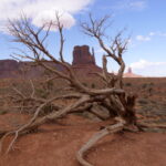 Mit dem Mietwagen durchs Monument Valley 07