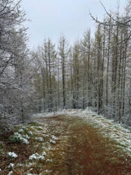 Rundgang durch Akureyri 17