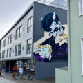 Reykjavik 11