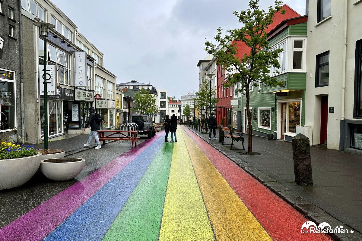 Reykjavik 5