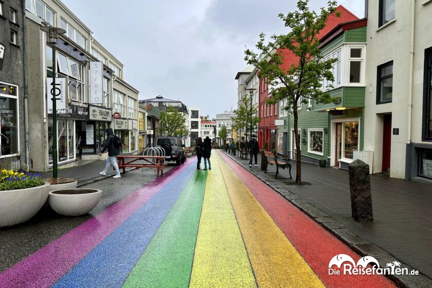 Reykjavik 5