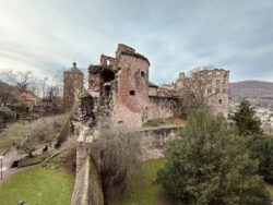 Heidelberger Schloss 2