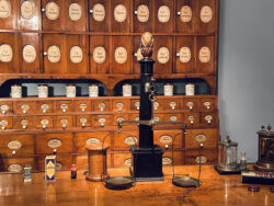 Heidelberger Schloss 22