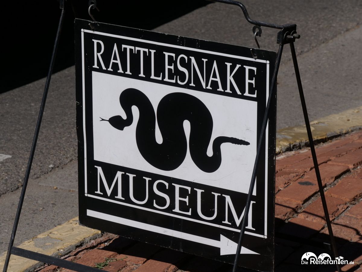 Ein Besuch im Rattlesnake Museum in Albuquerque 01
