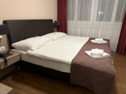 Hotel Alexander in Basel 2