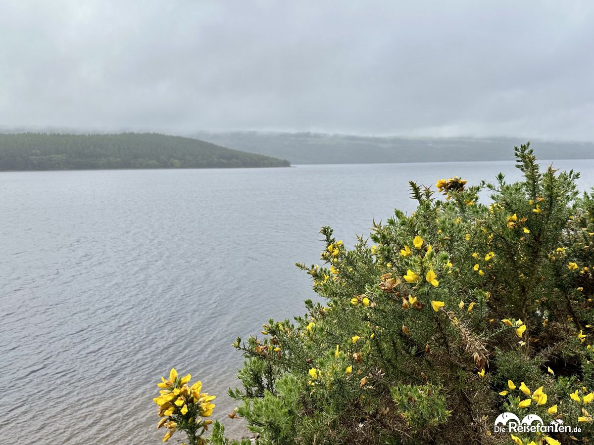 Loch Ness 1