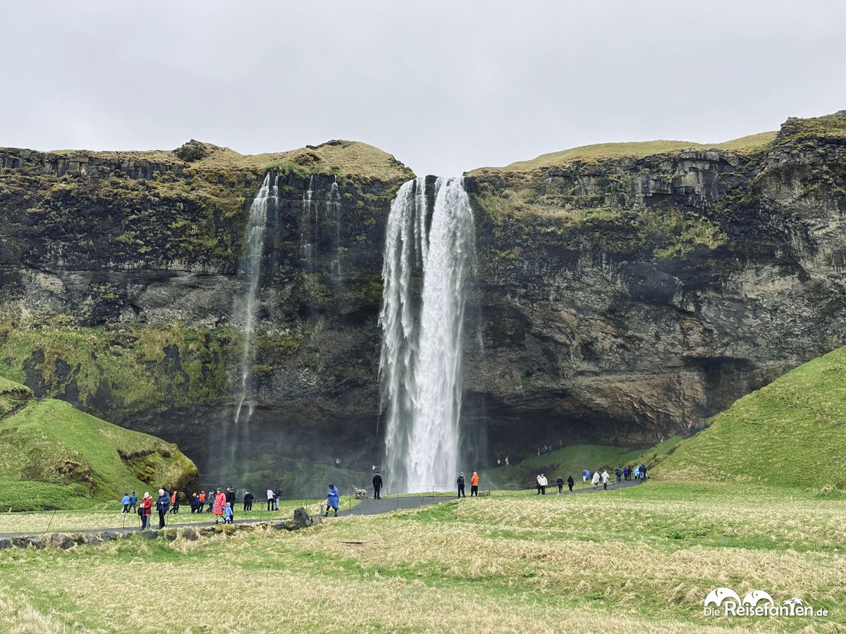 Seljalandsfoss 1