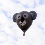 Zweiter Versuch der 50. Albuquerque Balloon Fiesta 13