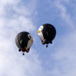 Zweiter Versuch der 50. Albuquerque Balloon Fiesta 27