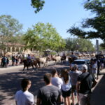 Ein Tag bei den Fort Worth Stockyards 13