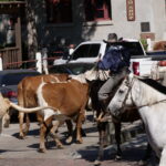Ein Tag bei den Fort Worth Stockyards 14
