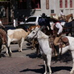 Ein Tag bei den Fort Worth Stockyards 15