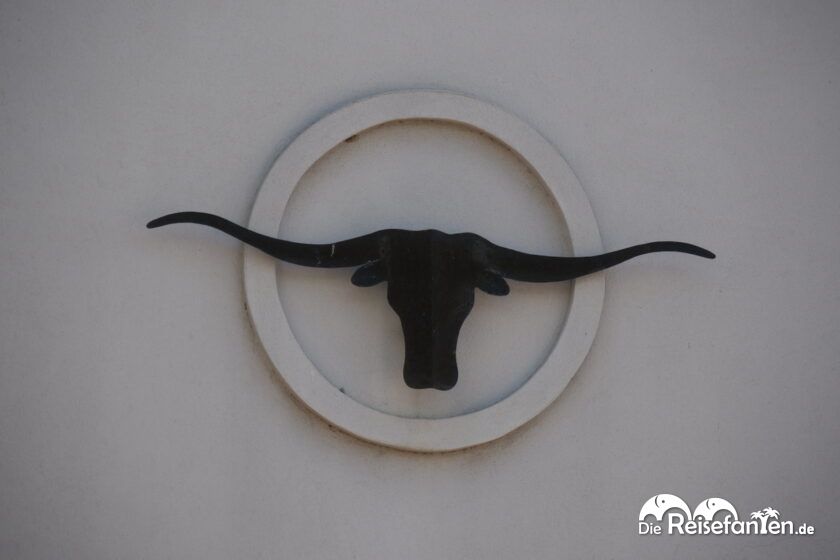 Ein Tag bei den Fort Worth Stockyards 17