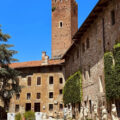 Vicenza 5