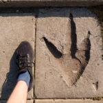 Dinos in Drumheller 09