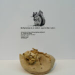 Ein Regentag im Royal Tyrrell Museum Das Paradies für Dino Fans 18