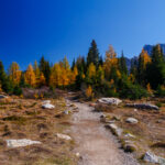 Eine Wanderung ins Larch Valley oberhalb des Moraine Lake 07