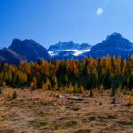 Eine Wanderung ins Larch Valley oberhalb des Moraine Lake 08