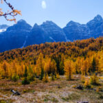 Eine Wanderung ins Larch Valley oberhalb des Moraine Lake 09