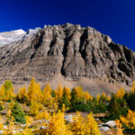 Eine Wanderung ins Larch Valley oberhalb des Moraine Lake 10