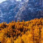 Eine Wanderung ins Larch Valley oberhalb des Moraine Lake 11