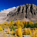 Eine Wanderung ins Larch Valley oberhalb des Moraine Lake 12