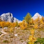 Eine Wanderung ins Larch Valley oberhalb des Moraine Lake 14