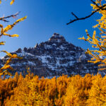 Eine Wanderung ins Larch Valley oberhalb des Moraine Lake 15