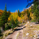 Eine Wanderung ins Larch Valley oberhalb des Moraine Lake 18