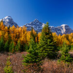 Eine Wanderung ins Larch Valley oberhalb des Moraine Lake 21