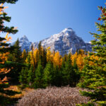 Eine Wanderung ins Larch Valley oberhalb des Moraine Lake 22