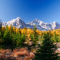 Eine Wanderung ins Larch Valley oberhalb des Moraine Lake 27