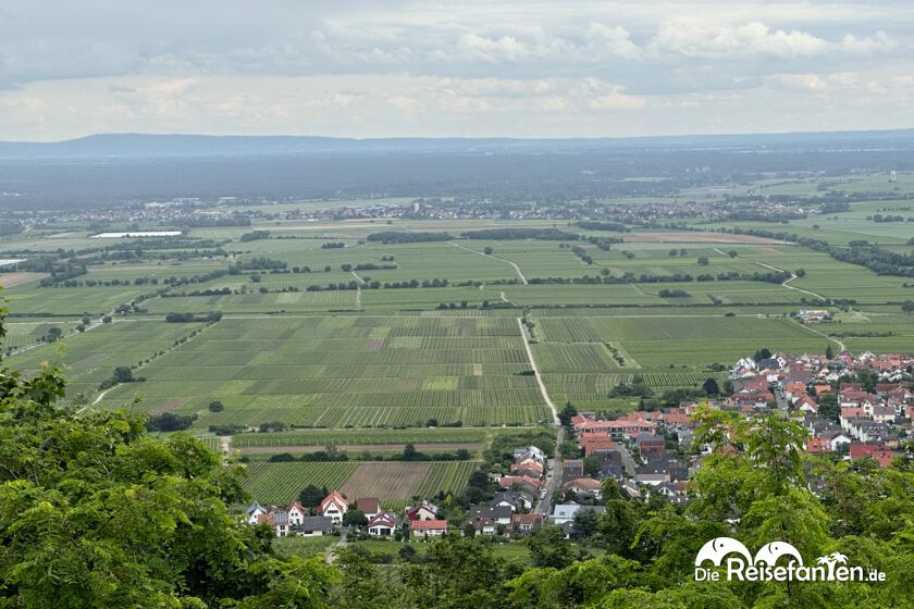 Hambacher Schloss 4