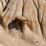 Horsethief Canyon und die Hoodoos 21