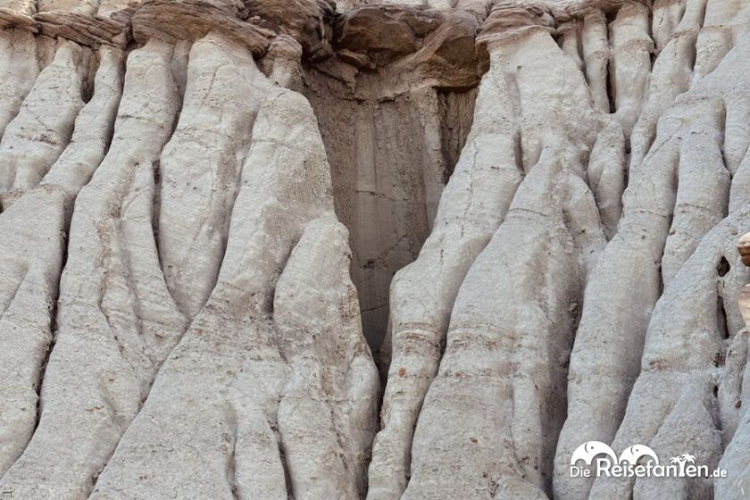 Dinosaur Provincial Park in Alberta 10