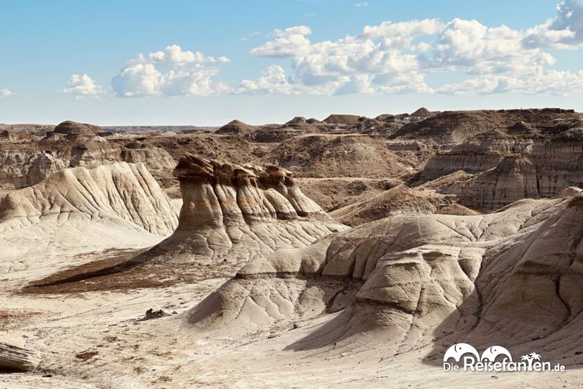 Dinosaur Provincial Park in Alberta 15