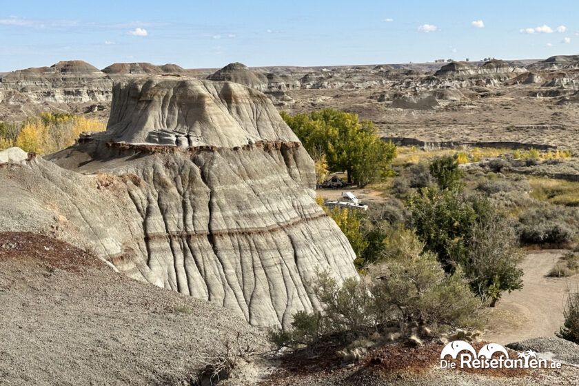 Dinosaur Provincial Park in Alberta 18