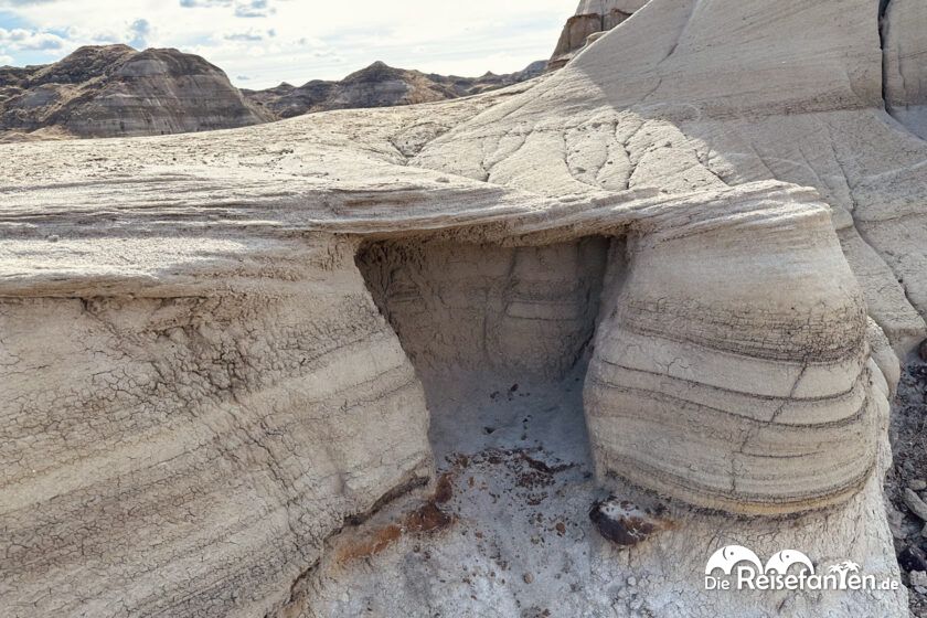 Dinosaur Provincial Park in Alberta 23