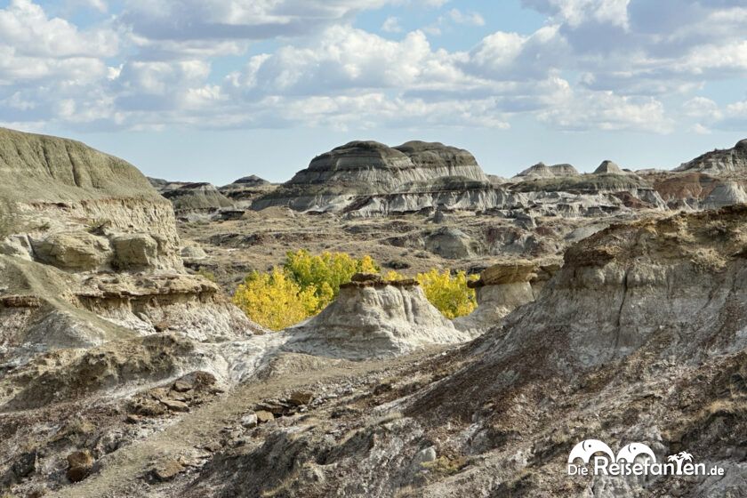Dinosaur Provincial Park in Alberta 29
