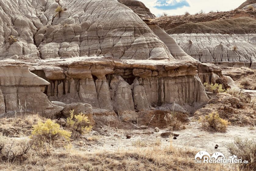 Dinosaur Provincial Park in Alberta 33
