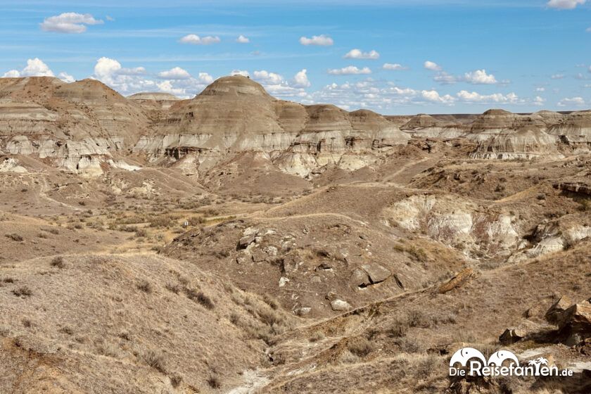 Dinosaur Provincial Park in Alberta 36