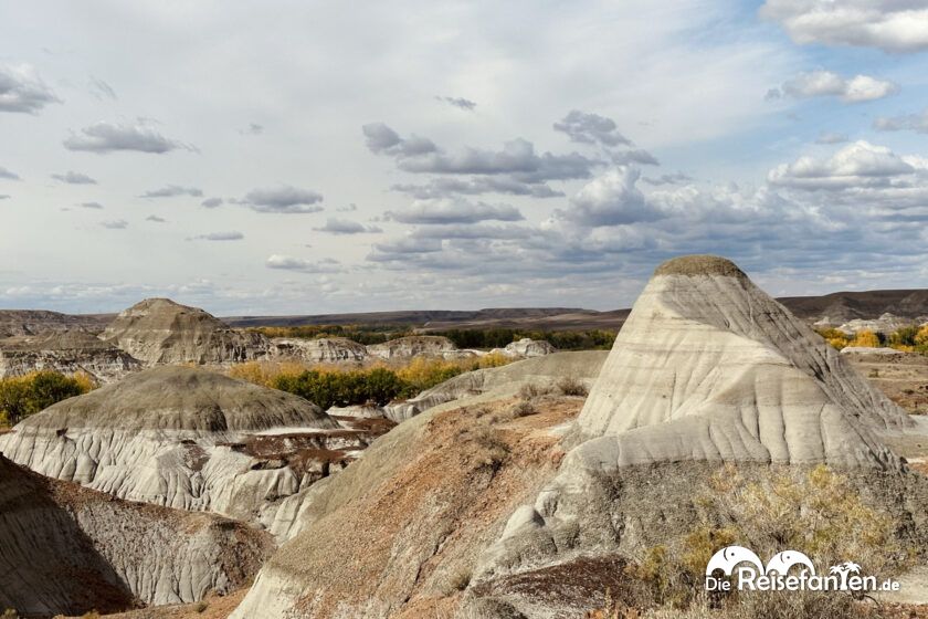 Dinosaur Provincial Park in Alberta 39
