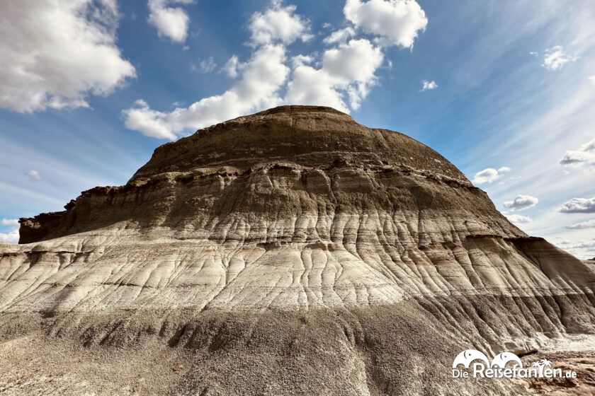 Dinosaur Provincial Park in Alberta 40